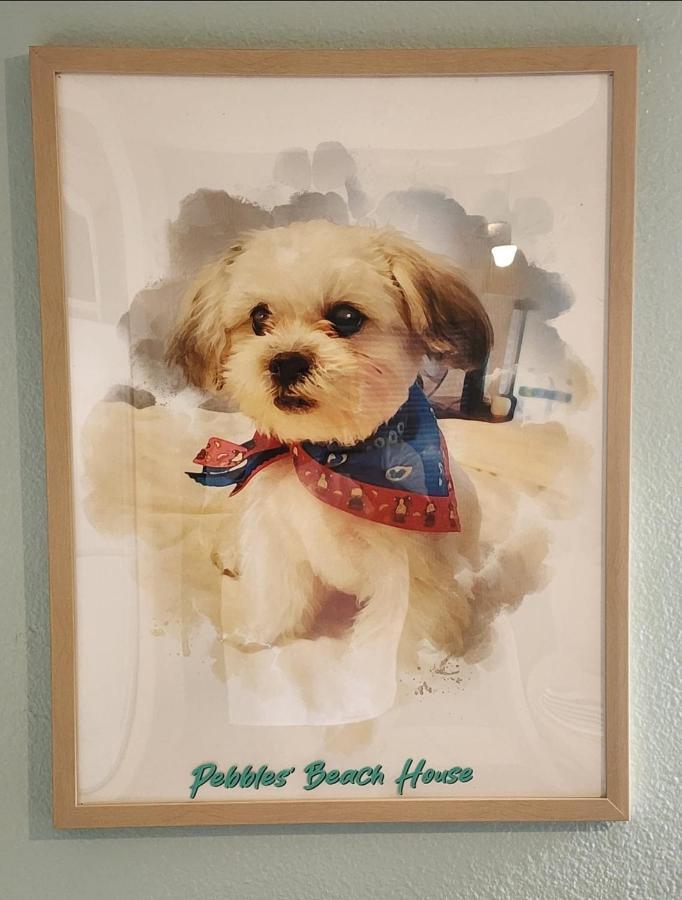 Pebbles' Beach House إدينبورغ المظهر الخارجي الصورة
