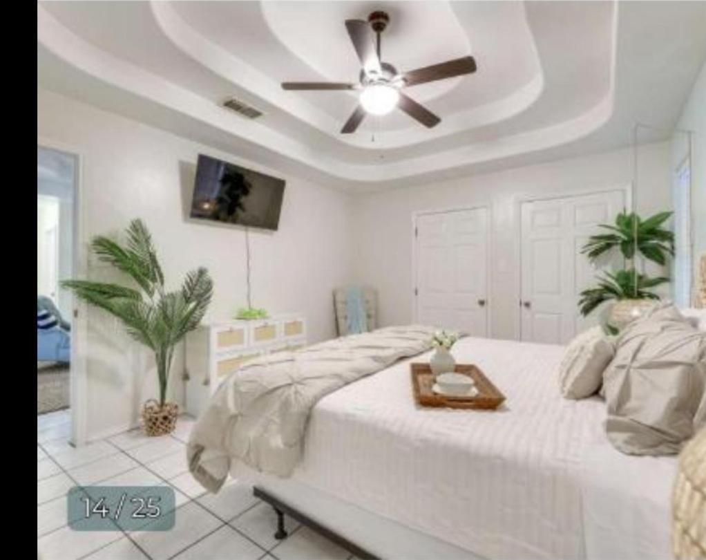 Pebbles' Beach House إدينبورغ المظهر الخارجي الصورة